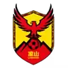 凉山队